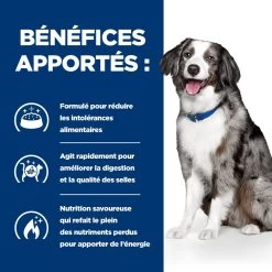 Hill's Prescription Diet I/D AB+ Sensitive Croquettes Pour Chien -Fournitures Pour Animaux Magasin 00052742040592 4 prescription diet chien i d sensitive croquettes
