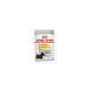 Royal Canin Dalmatien Dermacomfort Pour Chien 12 X 85g -Fournitures Pour Animaux Magasin 0ad34e67ed7c2e27b5fa6a638d96460c13b46231e88d7499d599936fbfdafa0e