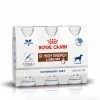 Royal Canin GI High Energy Liquid - 3 Flacons De 200ml 1 Royal Canin GI High Energy Liquid - 3 Flacons De 200ml -Fournitures Pour Animaux Magasin 18dd35214d12cda2d1d4ace436a854e5871c2bf9921299eb25f4f45bcdb6f150
