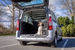 Trixie Protection Chien Pour Voiture Avec Fixations Aux Appuies-tête 105-172 Cm -Fournitures Pour Animaux Magasin 43b9171670aa632db8d0b50216bda1040921a87f11069c8ac80902918560e8aa