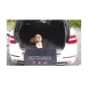 Tapis De Protection Coffre De Voiture -Fournitures Pour Animaux Magasin 46b08fd3f962f65d8fee66ed451c22dee454f2c52cfc4b856e405ab36f561434
