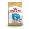 Royal Canin Dalmatien Chiot 12kg -Fournitures Pour Animaux Magasin 48c9dcc35f60f97f7f81bc59166cbc5c92ddb08b81656353e8c5dbd1493fbc35