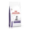 Royal Canin Chien Neutered Junior -Fournitures Pour Animaux Magasin 4d9cb12334ffd497e25a813cc4d26667d9e999f3f279d29b35c3a7118252d0c2