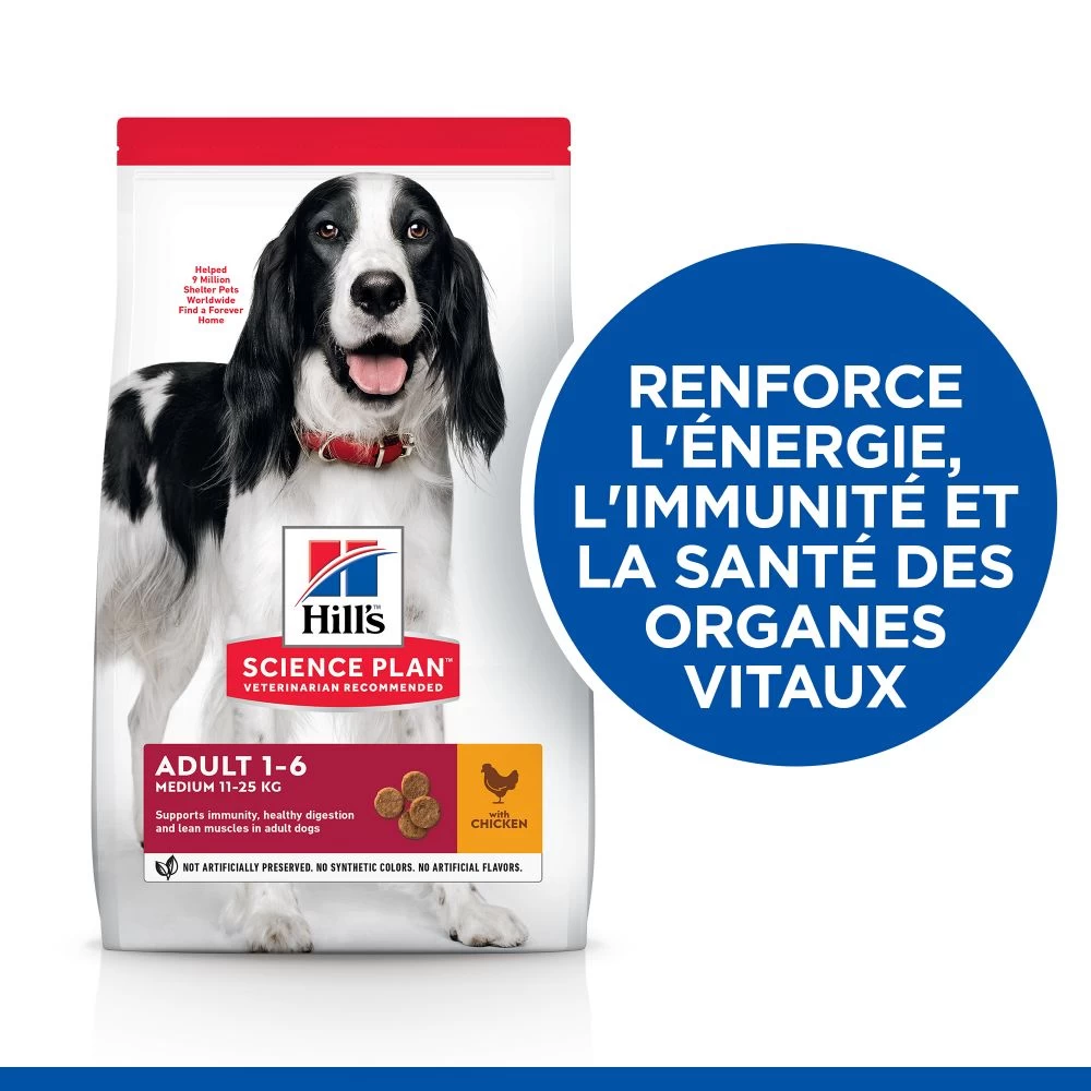 Hill's Science Plan Adult Croquettes Pour Chien Medium 10 Hill's Science Plan Adult Croquettes Pour Chien Medium – Image 8