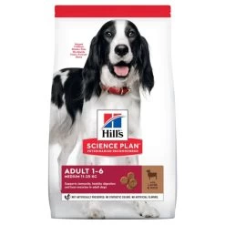 Hill's Science Plan Adult Croquettes Pour Chien Medium