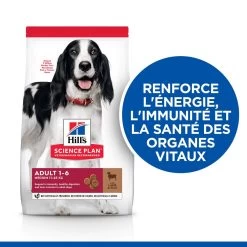 Hill's Science Plan Adult Croquettes Pour Chien Medium 13 Hill's Science Plan Adult Croquettes Pour Chien Medium -Fournitures Pour Animaux Magasin 52742025865 2 science plan chien adulte medium croquettes agneau