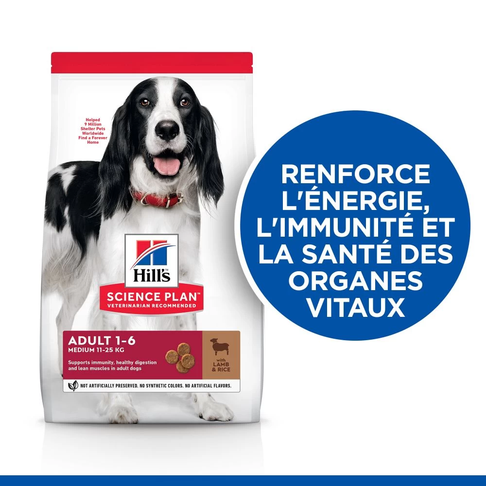 Hill's Science Plan Adult Croquettes Pour Chien Medium 5 Hill's Science Plan Adult Croquettes Pour Chien Medium – Image 3