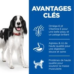 Hill's Science Plan Adult Croquettes Pour Chien Medium 14 Hill's Science Plan Adult Croquettes Pour Chien Medium -Fournitures Pour Animaux Magasin 52742025865 3 science plan chien adulte medium croquettes agneau