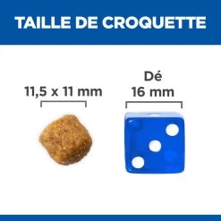 Hill's Science Plan Adult Croquettes Pour Chien Medium 16 Hill's Science Plan Adult Croquettes Pour Chien Medium -Fournitures Pour Animaux Magasin 52742025865 5 science plan chien adulte medium croquettes agneau