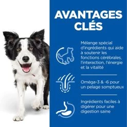 Hill's Science Plan Senior Vitality Croquettes Pour Chien âgé Au Poulet 14Kg 10 Hill's Science Plan Senior Vitality Croquettes Pour Chien âgé Au Poulet 14Kg -Fournitures Pour Animaux Magasin 52742026107 3 science plan senior vitality chien medium croquettes poulet