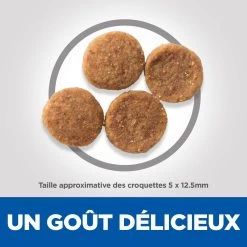 Hill's Science Plan Senior Vitality Croquettes Pour Chien âgé Au Poulet 14Kg 11 Hill's Science Plan Senior Vitality Croquettes Pour Chien âgé Au Poulet 14Kg -Fournitures Pour Animaux Magasin 52742026107 4 science plan senior vitality chien medium croquettes poulet