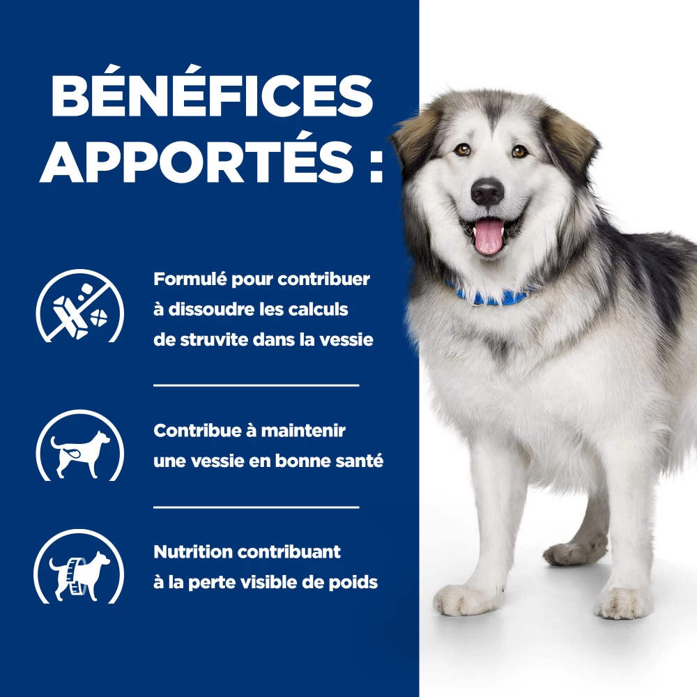 Hill's Prescription Diet C/d Multicare + Metabolic Croquettes Pour Chien 7 Hill's Prescription Diet C/d Multicare + Metabolic Croquettes Pour Chien – Image 5