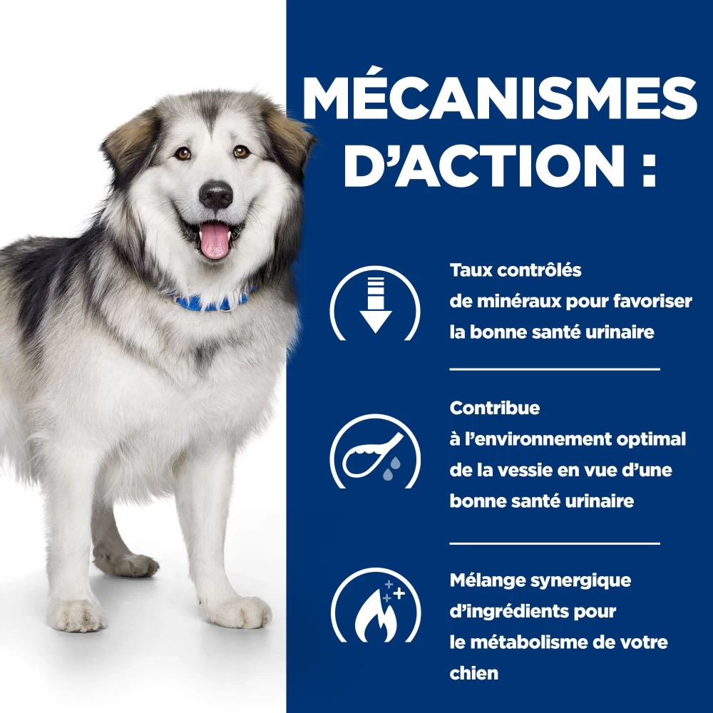 Hill's Prescription Diet C/d Multicare + Metabolic Croquettes Pour Chien 8 Hill's Prescription Diet C/d Multicare + Metabolic Croquettes Pour Chien – Image 6