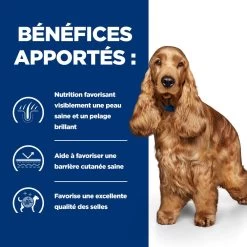 Hill's Prescription Diet Z/D AB+ Pour Chien Au Poulet 13 Hill's Prescription Diet Z/D AB+ Pour Chien Au Poulet -Fournitures Pour Animaux Magasin 52742040455 4 prescription diet chien z d croquettes
