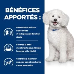 Hill's Prescription Diet K/D Early Stage Croquettes Pour Chien Au Poulet -Fournitures Pour Animaux Magasin 52742042374 4 prescription diet chien k d early stage croquettes poulet