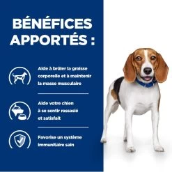 Hill's Prescription Diet R/D Croquettes Pour Chien Au Poulet -Fournitures Pour Animaux Magasin 52742047256 3 prescription diet chien r d croquettes poulet