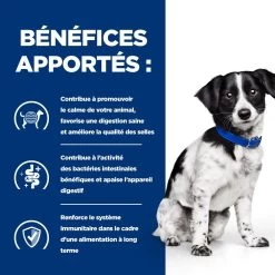 Hill's Prescription Diet I/D Stress Digestive Mini Pour Petit Chien Au Poulet -Fournitures Pour Animaux Magasin 52742048123 4 prescription diet chien i d stress mini croquettes