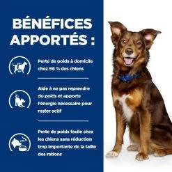 Hill's Prescription Diet Metabolic Pour Chien 13 Hill's Prescription Diet Metabolic Pour Chien -Fournitures Pour Animaux Magasin 52742209906 4 prescription diet chien metabolic croquettes poulet