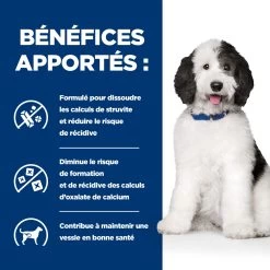 Hill's Prescription Diet C/D Urinary Multicare Croquettes Pour Chien Au Poulet 15 Hill's Prescription Diet C/D Urinary Multicare Croquettes Pour Chien Au Poulet -Fournitures Pour Animaux Magasin 52742917603 4 prescription diet chien c d multicare croquettes poulet