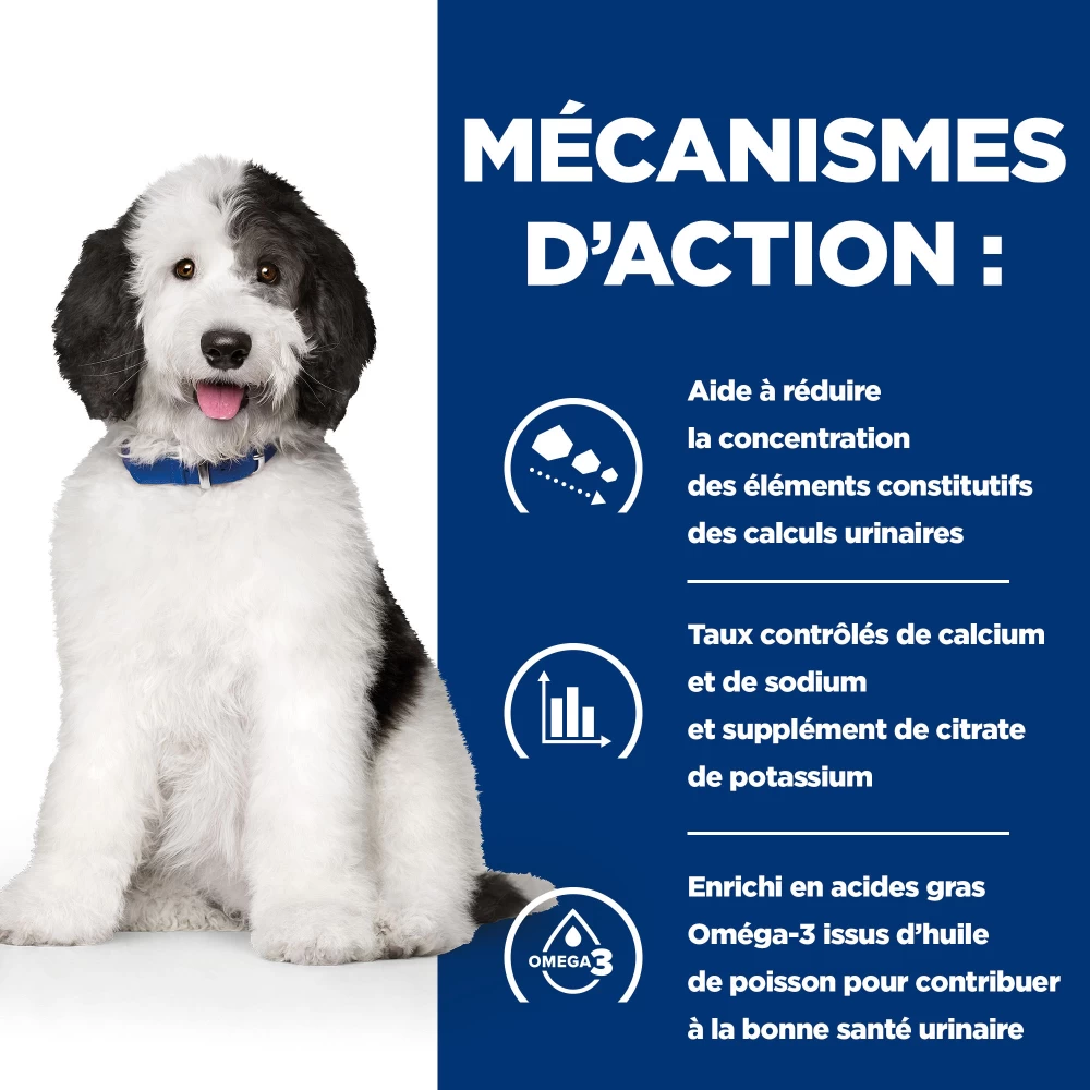 Hill's Prescription Diet C/D Urinary Multicare Croquettes Pour Chien Au Poulet 9 Hill's Prescription Diet C/D Urinary Multicare Croquettes Pour Chien Au Poulet – Image 7