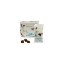 Observence Chien - 15 Boulettes