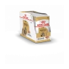 Royal Canin Shih Tzu 12x 85g -Fournitures Pour Animaux Magasin 58ac3b3271a08f3c3fe0360d8b63e0f7a8cfcbb73a5690fedae2edde7d751246