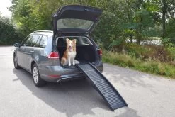 Flamingo Rampe Chien Pliante En Plastique 150x39,5x13 -Fournitures Pour Animaux Magasin 5ca98fedbefa67c07256cd242fb42cb0056e98299ed78ee7fa2cf8dc123e7565