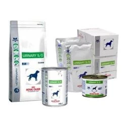 Royal Canin Urinary Chien -Fournitures Pour Animaux Magasin 79dbc42ddd876cf7d99fbddce1c3f3bfa57930b64eb2fb2a16b20c125b47feb6