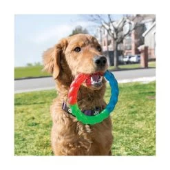 Jouet Kong Twistz Ring Pour Chien - Taille S -Fournitures Pour Animaux Magasin 7f05a7c33b3325047be4e11c78bd90b7760356ae