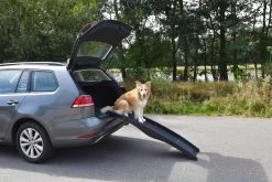 Flamingo Rampe Chien Pliante En Plastique 150x39,5x13 -Fournitures Pour Animaux Magasin 8357b81a52303b229e20b751700601a7d1358867f6a4d1c20febc5541aa06e6e