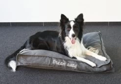 Flamingo Coussin Dream Away Rectangulaire+rebord+fermeture Eclair Gris 80x60x10cm -Fournitures Pour Animaux Magasin 8b20af957cd0e9159fdaec088098026b839b1c665fc0ece7ca837051d3f8cebf