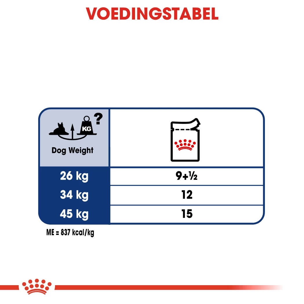 Royal Canin Maxi Ageing 8+ Pour Chien 10 X 140g 4 Royal Canin Maxi Ageing 8+ Pour Chien 10 X 140g – Image 2
