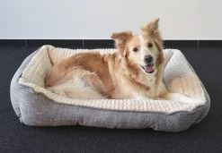 Flamingo Panier Pour Chien Zupo Rectangulaire Gris 90x65x25cm 9 Flamingo Panier Pour Chien Zupo Rectangulaire Gris 90x65x25cm -Fournitures Pour Animaux Magasin 99b8da2ca52e00418c6ee1afd6b8fb3f19b4e81818d430d62e4894bfcde106db