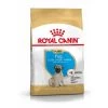 Royal Canin Carlin (Pug) Chiot Pour Chien 1,5kg -Fournitures Pour Animaux Magasin 99d32243857e6cbb8677ea6a83edd8a1d42014abd1f3b77e64512c0dcfbdf543