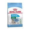 Royal Canin Mini Starter Mother & Babydog - 8Kg -Fournitures Pour Animaux Magasin 9b2e0bf798674f1dcae3728754d8d29b2fe35fe466109b04dbd50098b2f4f18f 1