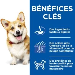 HILL'S SCIENCE PLAN HEALTHY CUISINE MIJOTÉS POUR CHIEN ADULTE SMALL & MINI AU POULET ET AU BŒUF 12X80G -Fournitures Pour Animaux Magasin Hill s science plan chien adult healthy cuisine mijotes sachet repas poulet boeuf 12x80g 8 FR