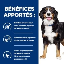 HILL'S PRESCRIPTION DIET METABOLIC + MOBILITY GESTION DU POIDS BOÎTES POUR CHIEN 12X370G -Fournitures Pour Animaux Magasin Hills prescription diet chien metabolic mobility boites poulet 2 FR