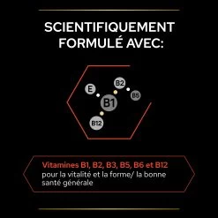 Purina PRO PLAN MULTIVITAMINS+ CHIEN ALIMENT COMPLEMENTAIRE - 67G -Fournitures Pour Animaux Magasin PRO PLAN MULTIVITAMINS DOG SUPPLEMENT 67G 6 FR