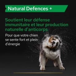 Purina PRO PLAN NATURAL DEFENSES+ CHIEN ALIMENT COMPLEMENTAIRE - 67G -Fournitures Pour Animaux Magasin PRO PLAN NATURAL DEFENCES DOG SUPPLEMENT 67G 5 FR