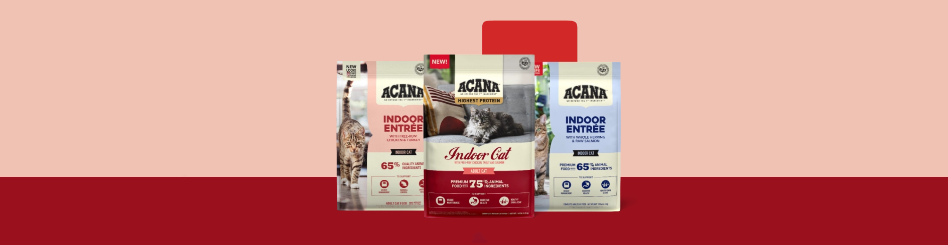 Fournitures Pour Animaux Magasin -Fournitures Pour Animaux Magasin UY ZL0P90UFIRXOK1NJ