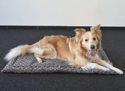 Flamingo Coussin Cuddly Plat Rectangulaire Taupe 85,5x51x2cm -Fournitures Pour Animaux Magasin a4786eba1a7de2cc9ddc5f3f610a55677acd27983c0428209d2a3e502232cc72