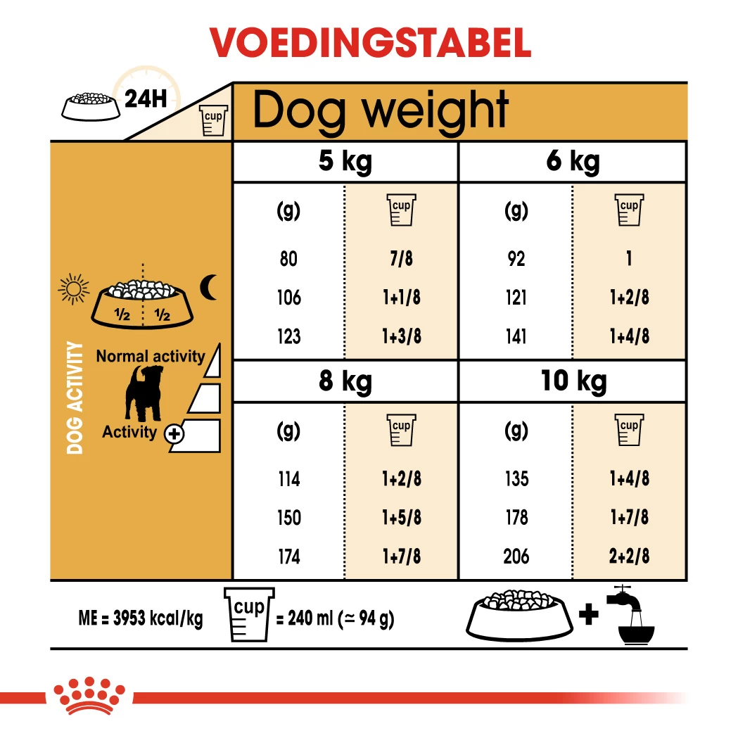 Royal Canin Jack Russell Adult Pour Chien 7,5kg 4 Royal Canin Jack Russell Adult Pour Chien 7,5kg – Image 2