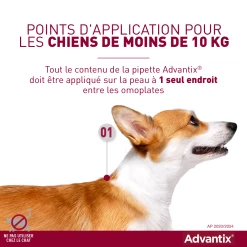 Advantix Petit Chien 4-10Kg 11 Advantix Petit Chien 4-10Kg -Fournitures Pour Animaux Magasin advantix point d application