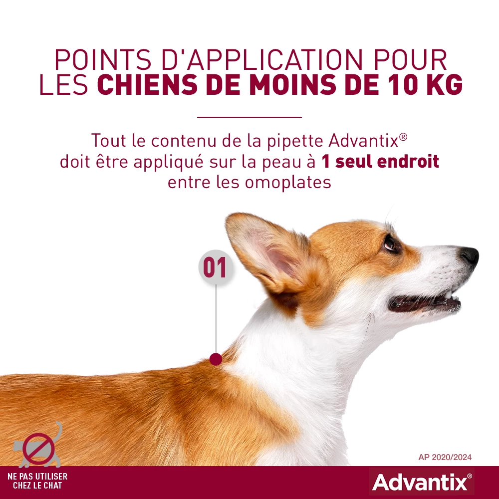 Advantix Petit Chien 4-10Kg 5 Advantix Petit Chien 4-10Kg – Image 3