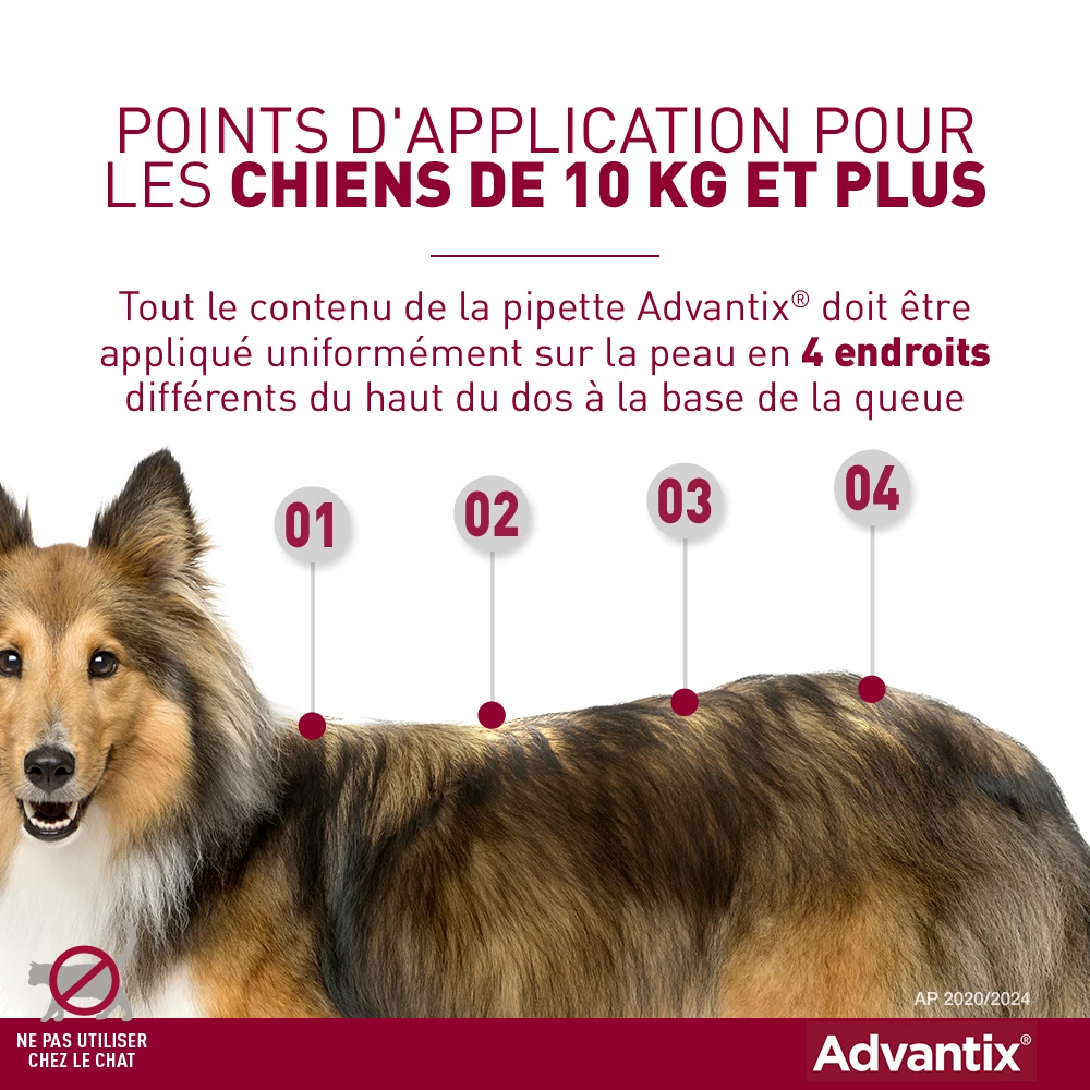 Bayer Advantix Grand Chien 25-40Kg 6 Bayer Advantix Grand Chien 25-40Kg – Image 4