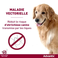Bayer Advantix Grand Chien 25-40Kg 14 Bayer Advantix Grand Chien 25-40Kg -Fournitures Pour Animaux Magasin advantix r duit le risque de maladies vectorielles