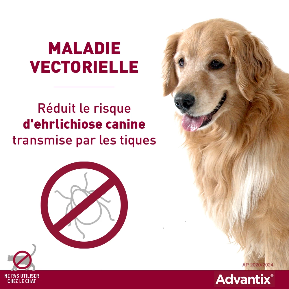 Bayer Advantix Grand Chien 25-40Kg 8 Bayer Advantix Grand Chien 25-40Kg – Image 6