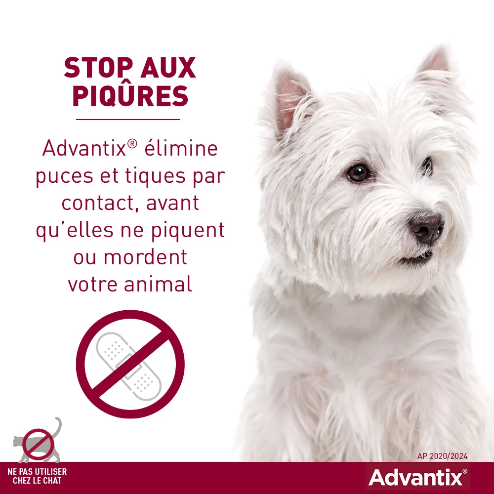 Advantix Petit Chien 4-10Kg 4 Advantix Petit Chien 4-10Kg – Image 2