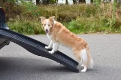 Flamingo Rampe Chien Pliante En Plastique 150x39,5x13 -Fournitures Pour Animaux Magasin afd13099f3486cf54e9ef19eb06f2dd5e8c0e5ae0d4f8b7e284c3b461515fa17