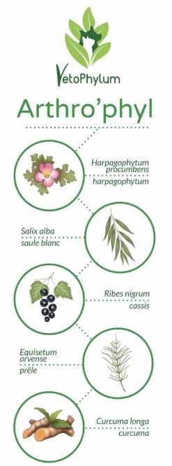 Arthro'Phyl -Fournitures Pour Animaux Magasin arthrophyl4